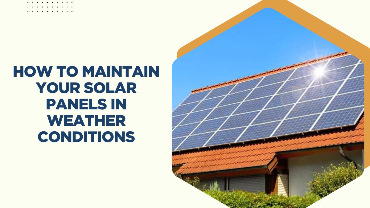 How to Maintain Your Solar Panels in Weather Conditions