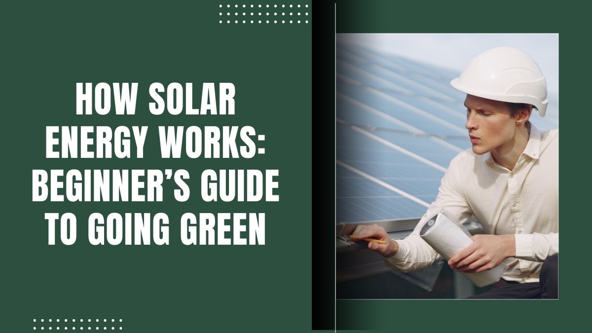 How Solar Energy Works: A Beginner’s Guide to Going Green